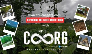 Unravel the Secrets of Coorg with Triptocoorg.com: The No.1 OTA Platform of Coorg for Unforgettable Travel Experiences