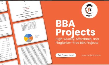BBA Projects: Best Service Providers to Guide Your Research