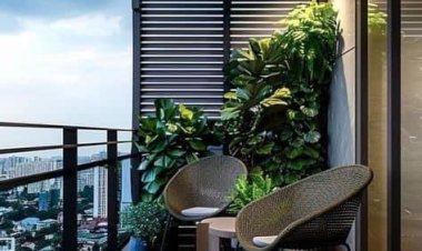 Introducing the Best Interior Designer Service Provider in Nashik