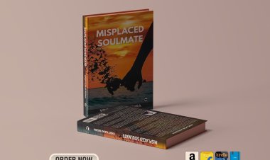 Introducing: Misplaced Soulmate by Vineet Kumar Mishra
